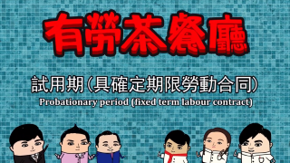 Probationary period (fixed term labour contract)